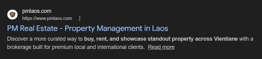PM Laos real estate business appearing on Google search results — example of a Vientiane business with a proper website