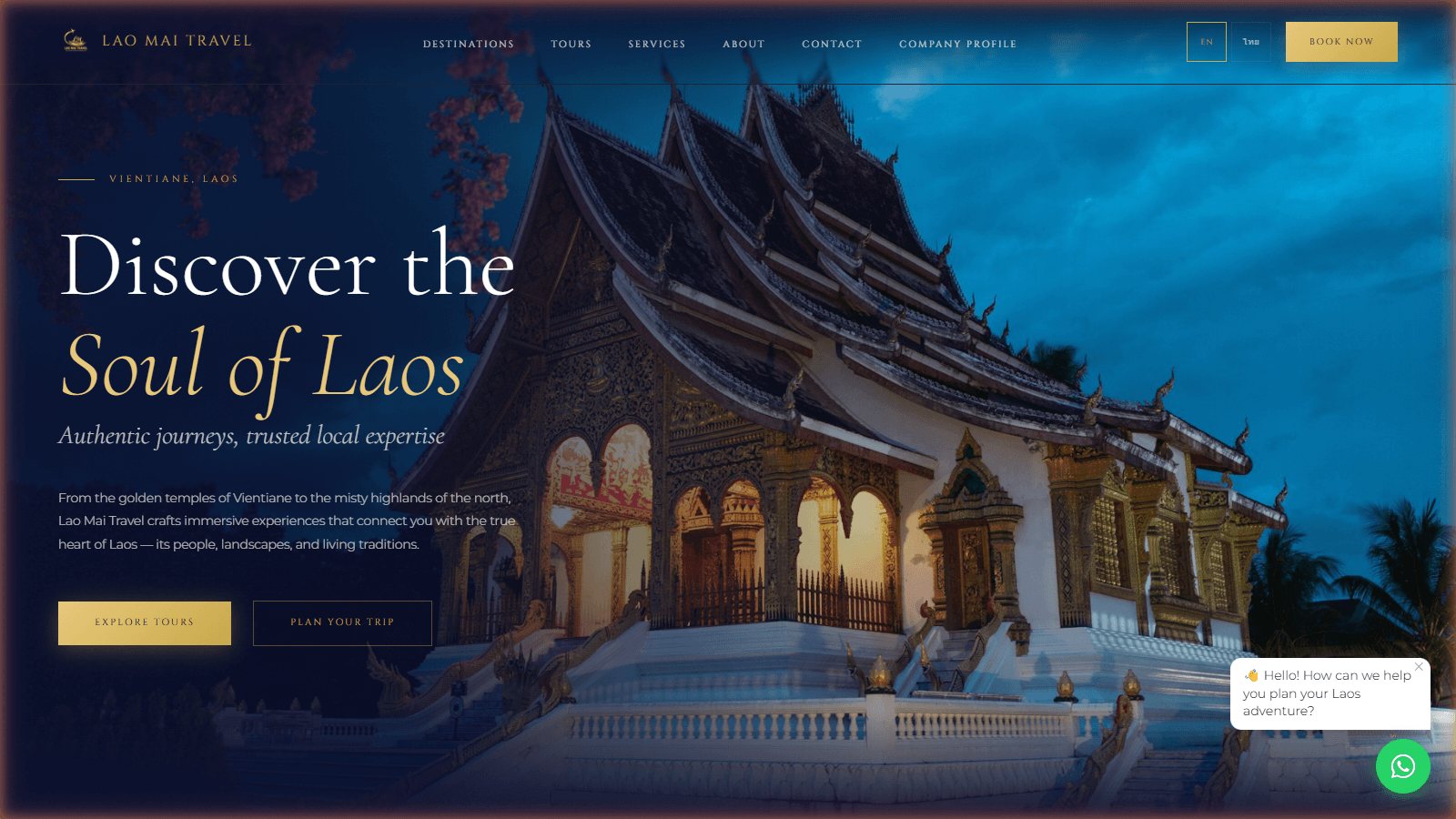 Travel Agency Website screenshot