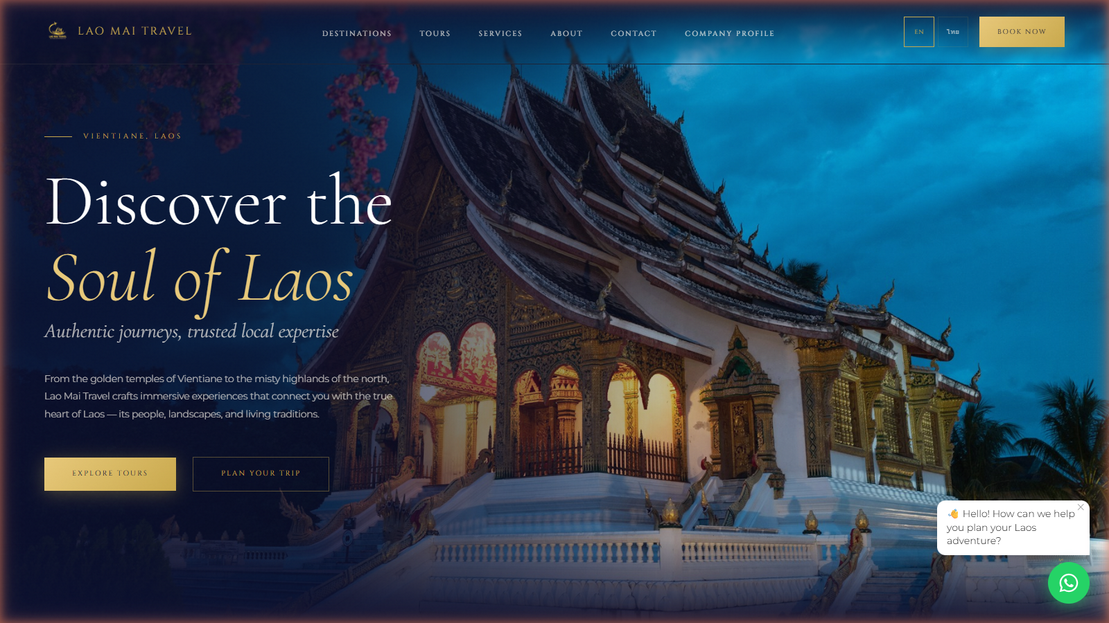 Travel Agency Website screenshot